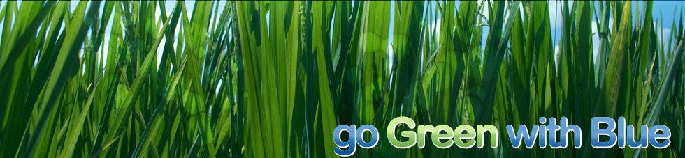 Go Green with Blue
